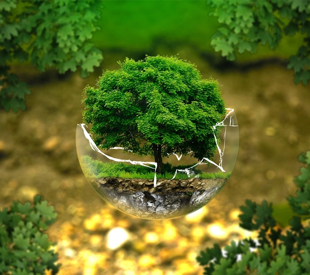 protection-environnement protection-environnement